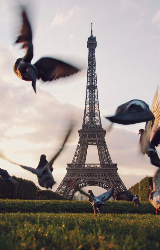 How Holmes Solved "The Adventure of the Parisian Pasteboards"